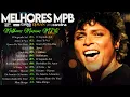 Lagu Música MPB Antigas ~ MPB Mais Tocadas Playlist 2026 ~ Djavan, Vanessa Da Mata, Ana Carolina#mpb