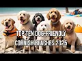 Top 10 Year-Round Dog-Friendly Beaches in Cornwall 2025