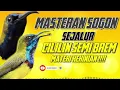 Lagu MASTERAN SOGON‼️ SEJALUR MATERI CILILIN SEMI BREM MATERI KEKINIAN #sogon #sogongacor #sogokontong