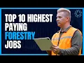 Top 10 Highest Paying Forestry Jobs