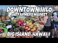 Downtown Hilo Farmers Market Art Walls Sugar Coast Candy Big Island Hawaii December 23 2024