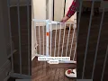 Babelio No Drilling Extra Wide Baby Gate Make Everything Simple and Safety