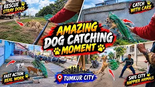 Real-Life Street Dog Mission | Catch, Vaccinate & Release | Hollywood Style Dog Catching Action #dog