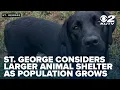 St George considers larger animal shelter as population grows