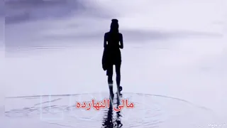 مالي النهارده  اللحن  الشجي  دندنها