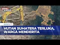 Lagu Hutan Sumatera Terluka: Tanpa Pemulihan Lingkungan, Bencana Banjir-Longsor Akan Berulang