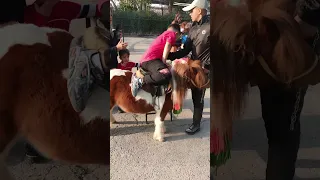 ایران مشھد میں چھوٹے قد کے گھوڑے کس کام آتے ہیں دیکھے  ایران مشھد میں چھوٹے قد کے گھوڑے کس کام آتے ہیں دیکھے