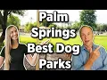 Best Dog Parks in Palm Springs - Where are the Best Dog Parks Located