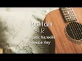 Lagu Putri Iklan - St12 - Acoustic Karaoke (Female Key)