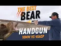 The Ultimate Bear Defense 10mm vs 45 ACP Tested