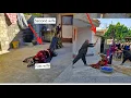 Download Lagu Ali's wife, who is very afraid of Zahra the witch, asks her husband to build a separate house for th
