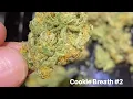 Cookie Breath-Greenpoint Seeds