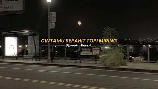 cintamu sepahit topi miring slowed viral tiktok sound mx king