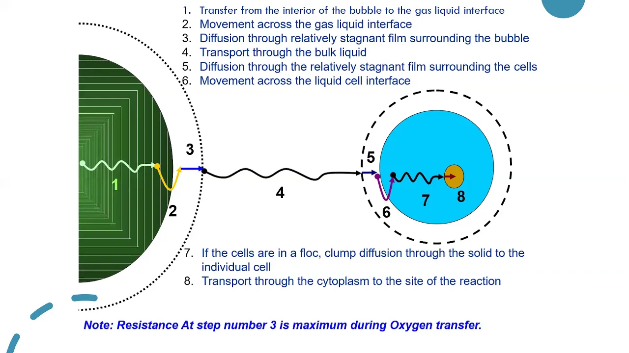 Scale up & Oxygen Transfer in Bioreactors for Optimized Industrial Processes