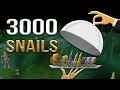 Loot From 3 000 Snails