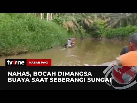 Sempat Teriak Minta Tolong, Bocah di Riau Tewas Diterkam Buaya