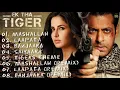 Download Lagu Ek Tha Tiger Movie All Song Bollywood Salman Khan Song Hindi Movie Song~Hit Songs