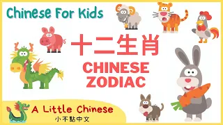 Learn the Chinese Zodiac in Mandarin Chinese for Toddlers Kids Beginners
