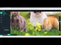 Using Roboflow to prepare dataset for YOLOv8 instance segmentation