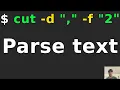 Using the Cut Command to Parse a CSV File by Delimiters and Characters