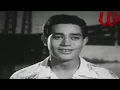 داري جمالك دى العيون بصاصه