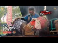Download Lagu GLERR‼️ Spesial Kang Ciput Jaranan Rogo Samboyo Putro ft SHAFIRA AUDIO