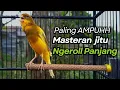 Lagu KENARI GACOR Cuit CUIT BIRAHI UNTUK PANCINGAN \u0026 MASTERAN Kenari PAUD AGAR BUNYI