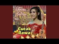 Cucak Rawa