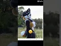 Download Lagu Furry fans hate me all you want