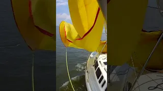 2024 GBCA Women’s Regatta #shorts