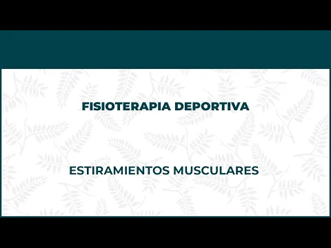 ESTIRAMIENTOS MUSCULARES - FISIOTERAPIA DEPORTIVA