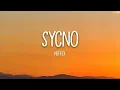 Download Lagu Something you could never own(SYCNO)-NEFFEX 가사/번역