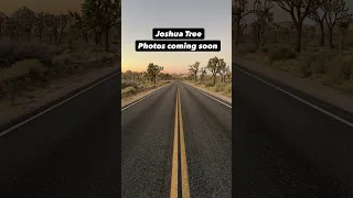 I just did a quick photo Safari in Joshua Tree National Park. It was incredible (as usual).