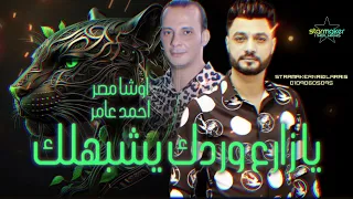 يا زارع وردك يشبهلك احمد عامر 2024 اوشا مصر 