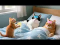 Download Lagu Mama Cat Trims Fur on the Farm and Makes Tiger Hat For Kittens At Home🐾🎩🐯