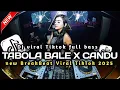 Download Lagu DJ TABOLA BALE X CANDU BREAKBEAT FULL BASS BETON NEW VIRAL TIKTOK TERBARU 2025