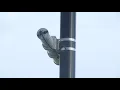 New traffic monitors popping up around Baton Rouge