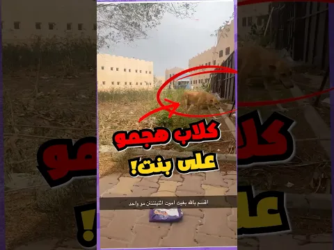 وش بتسوي لو مكانها ؟ 😂#منقار #fyp