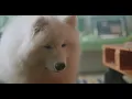 GJ蔣卓嘉 - 不是因為天氣晴朗才愛你 Rain or Shine (Official Music Video)