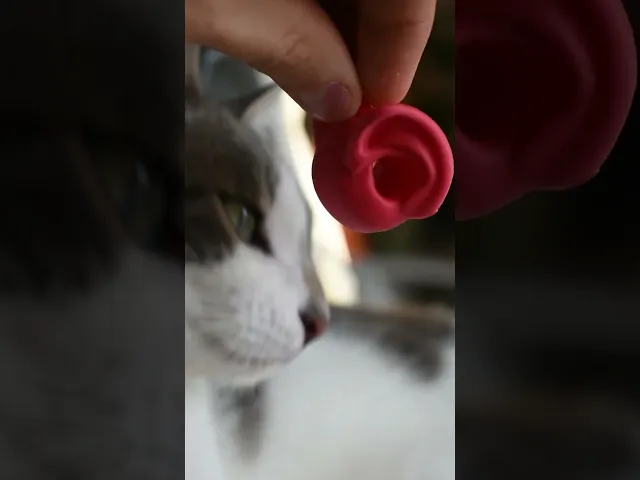 Earbuddy - Earplug holder for your keychain video thumbnail