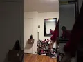Fevunet Tiktok Live