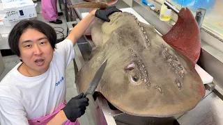 【希少映像】120キロの幻の魚を捌いてみたらお腹からやばい物が。