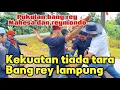 Download Lagu BANG REY TERBARU BANG REY HAJAR HABIS BAHISAN MAHESA DAN REYMONDO#bangreylampung