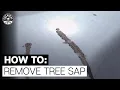 How To Easily Remove Tree Sap - Chemical Guys