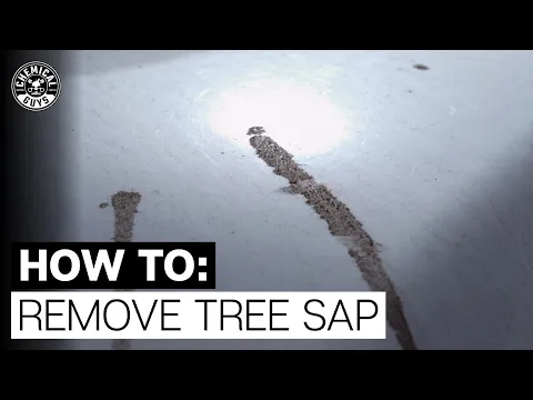 How to Remove Tree Sap From Car