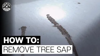 How To Easily Remove Tree Sap - Chemical Guys