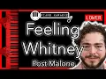 Feeling Whitney LOWER - 3