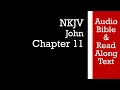 John 11 - NKJV Bible Text