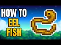 How To Catch The Eel In Stardew Valley Location And Weather Conditions To Get The Eel