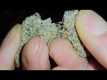 Dulce De Uva - Rythm NYC Strain Review
